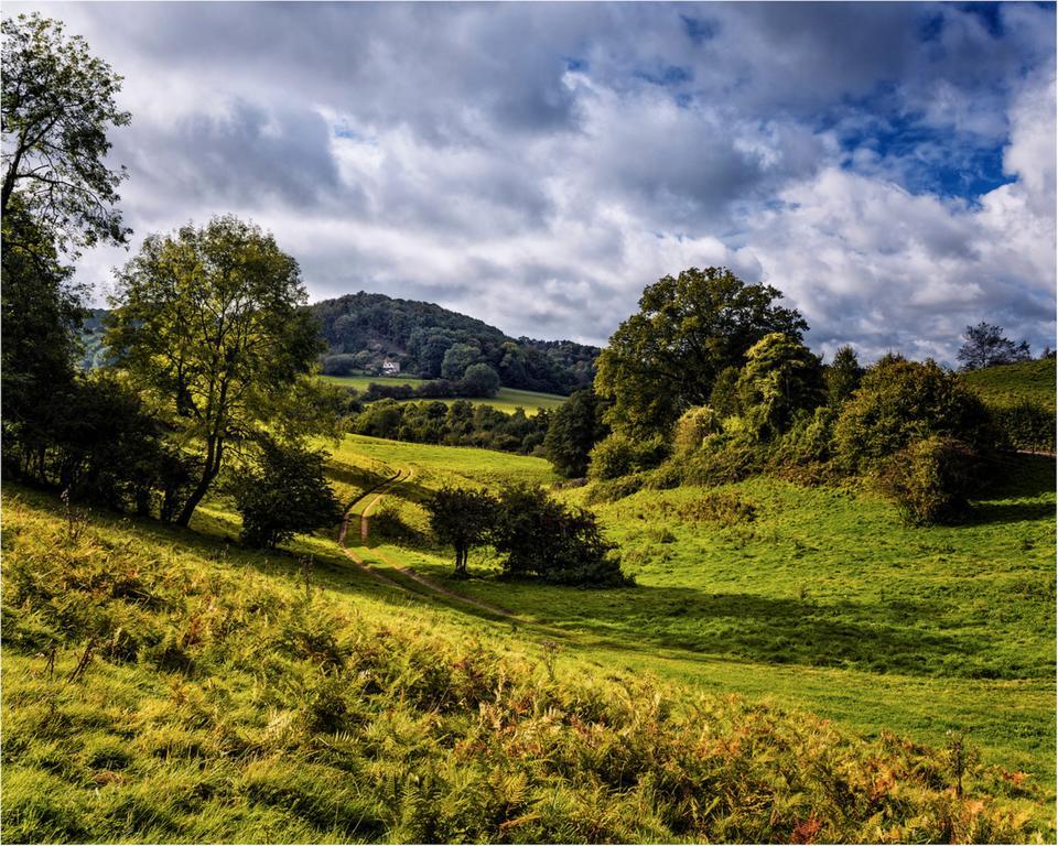 Owlpen Manor Cottages Uley 外观 照片