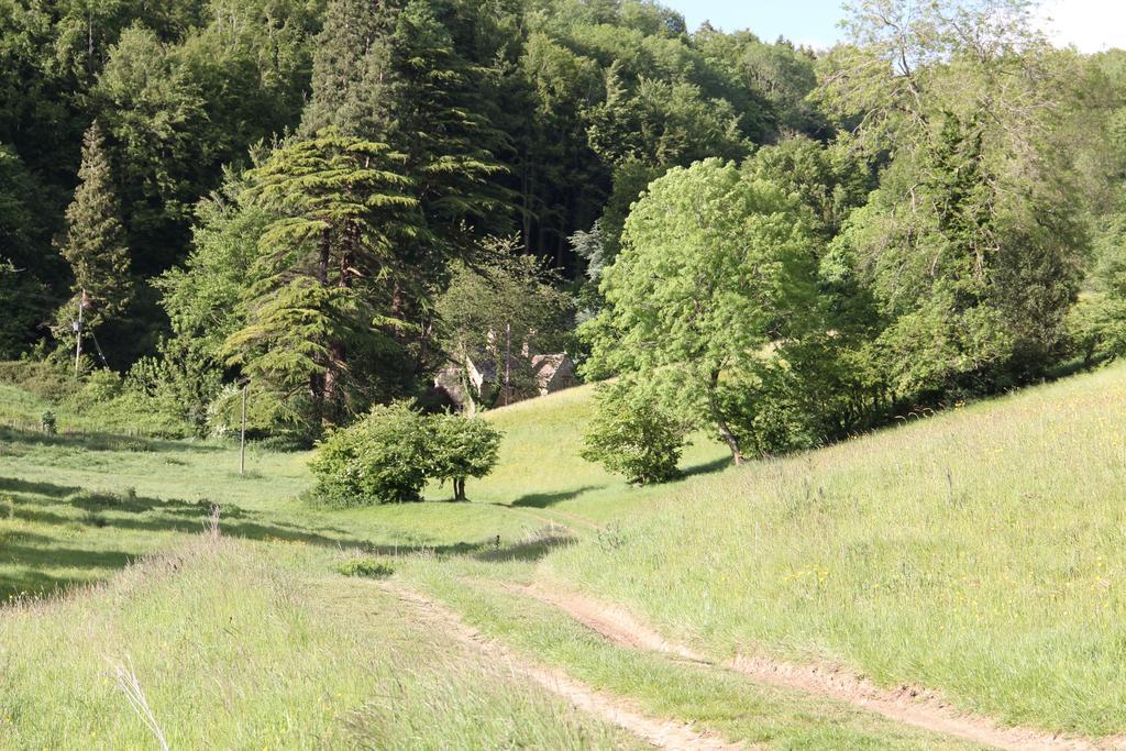 Owlpen Manor Cottages Uley 外观 照片